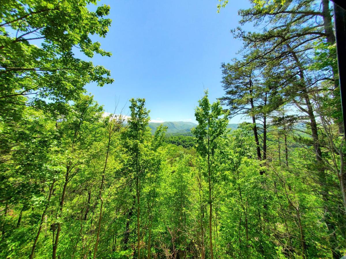 ピジョンフォージ Mountain Ridgeヴィラ エクステリア 写真