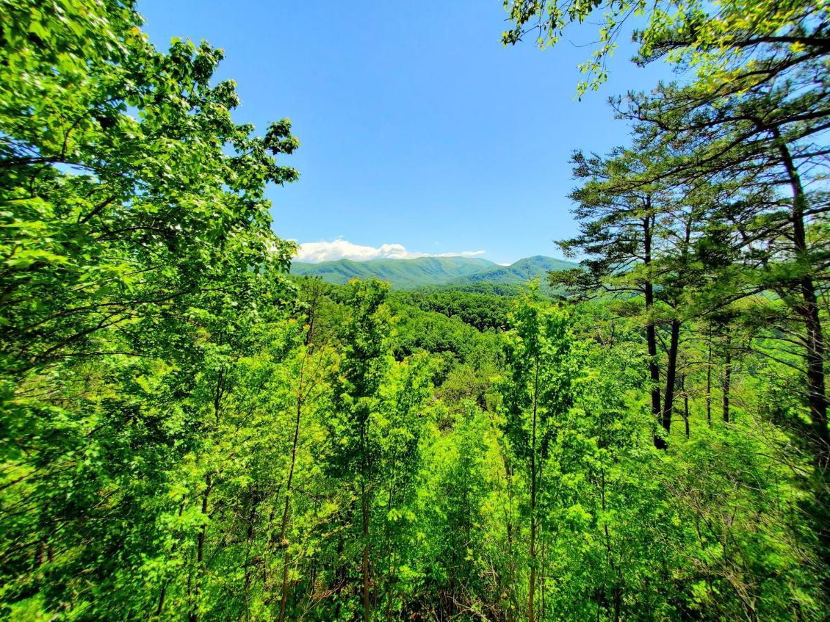 ピジョンフォージ Mountain Ridgeヴィラ エクステリア 写真
